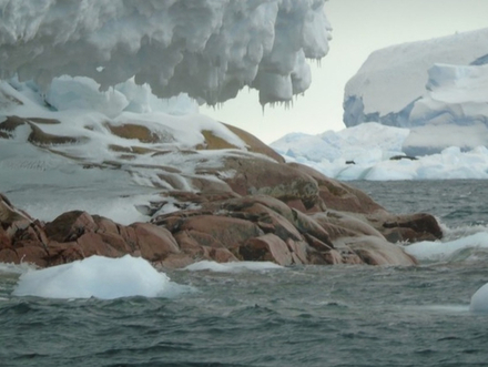 Après avoir consulté leur carte, les scientifiques ont réalisé qu'il s'agissait en fait d'une nouvelle île de 350 mètres de long composée de granite (une roche magmatique). Après avoir consulté leur carte, les scientifiques ont réalisé qu'il s'agissait en fait d'une nouvelle île de 350 mètres de long composée de granite (une roche magmatique).