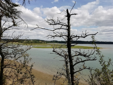 Vestiges du village viking