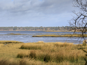 Le Royaume-Uni crée sa première « super » réserve naturelle nationale