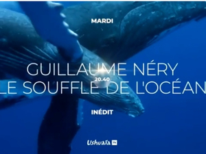 Guillaume Néry, le souffle de l'océan ce soir sur Ushuaïa TV