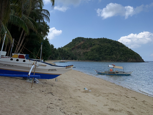 Témoignage d'une française coincée aux Philippines « Personne ne nous aide, le climat est très anxiogène »
