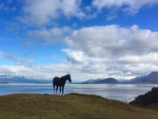 En photos : dans les canaux de Patagonie et...