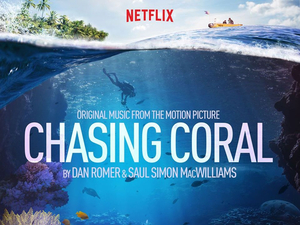 5 documentaires sur le thème de la mer, à découvrir sur Netflix