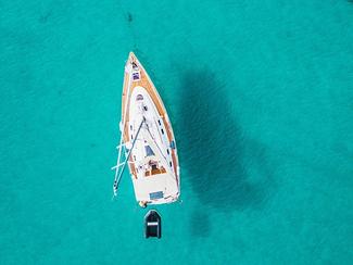 Fabien Metayer, délégué général de la FIN «...