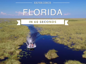 Vidéo : découvrez la Floride en 60 secondes