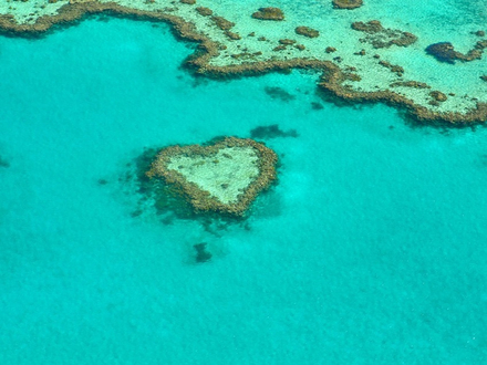 Avec le message « with love from Australia » nous souhaitons montrer aux voyageurs que le pays les accueillera, en temps voulu, à bras ouverts !  Avec le message « with love from Australia » nous souhaitons montrer aux voyageurs que le pays les accueillera, en temps voulu, à bras ouverts !