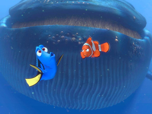 7 films sur la mer à découvrir sur la nouvelle plateforme Disney+ !