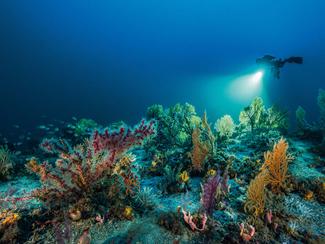 « Planète Méditerranée » : un film pour...
