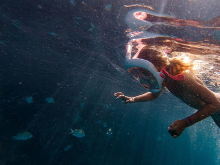 Pour occuper les enfants, nous partons souvent à la découverte des coraux à l'aide de masques et de tubas. Pour occuper les enfants, nous partons souvent à la découverte des coraux à l'aide de masques et de tubas.