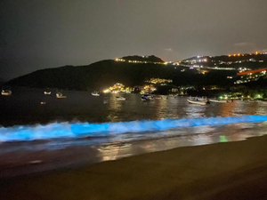 Vidéo : pour la première fois, une plage mexicaine devient bioluminescente !