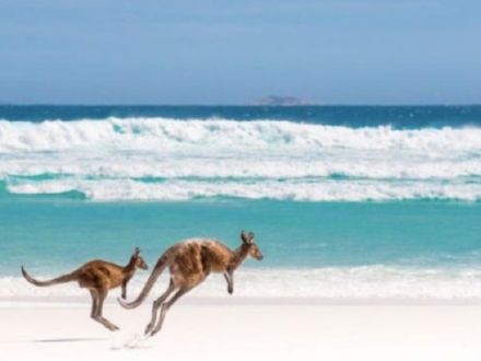 Plage d'Esperance Plage d'Esperance