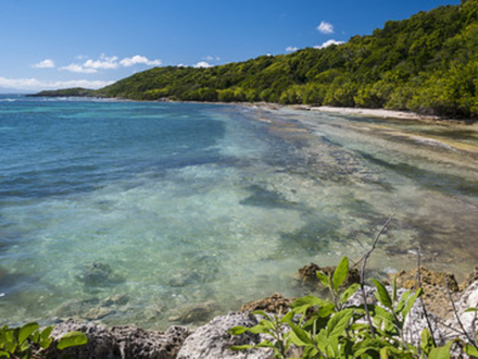 Depuis le début du confinement les plages sont interdites d'accès, la baignade est prohibée ainsi que toutes les autres activités nautiques. Depuis le début du confinement les plages sont interdites d'accès, la baignade est prohibée ainsi que toutes les autres activités nautiques.