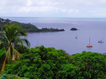 Nous sommes assez nombreux à avoir un bateau sur la marina, entre les résidents permanents et les voyageurs comme nous en confinement sur l'île. Nous sommes assez nombreux à avoir un bateau sur la marina, entre les résidents permanents et les voyageurs comme nous en confinement sur l'île.