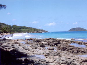 Déconfinement en Guadeloupe : accès aux plages en suspens