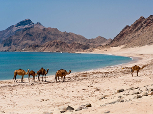 Rania Khodr, directrice France de l'Office du tourisme d'Oman « Nous espérons vraiment une reprise en septembre »