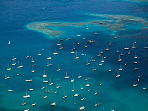 Comité Martiniquais du Tourisme « Il est important de garder un lien avec nos voyageurs »