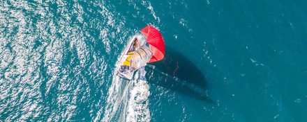 Les Griffes du Lion/R.Cristol