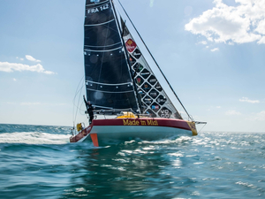 Les Griffes du Lion : trois temps de référence établis sur la Tartine Cup