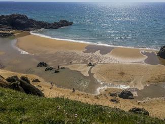 Michaël Quernez « La Bretagne sera une...