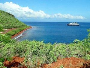 Equateur : les Galapagos rouvriront au tourisme le 1er juillet