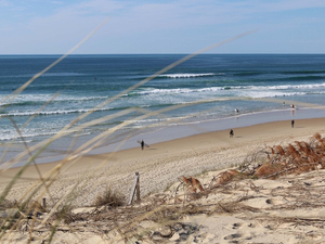 Office de tourisme Biscarrosse Grands Lacs « Nous espérons prolonger la saison jusqu'aux vacances de la Toussaint »