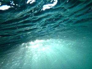 Journée mondiale de l'océan : 10 choses que vous ne savez probablement pas sur l'océan