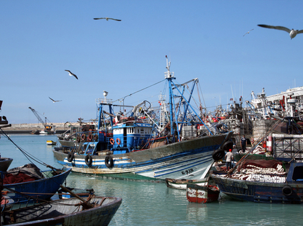 Nautisme Article