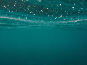 Journée mondiale de l'océan : l'Ifremer met l'océan et l'innovation à l'honneur 