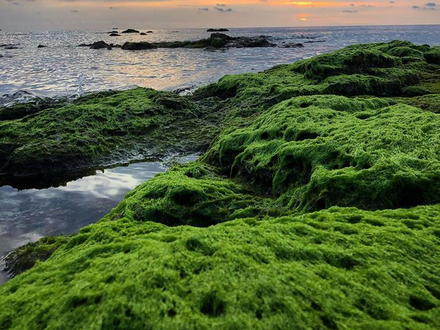 Nous nous trouvons dans la région sud donc nous avons participé à une grande campagne de communication qui se nomme « On a tous besoin du sud » Nous nous trouvons dans la région sud donc nous avons participé à une grande campagne de communication qui se nomme « On a tous besoin du sud »