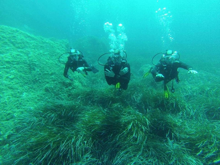  Nous avons la chance de faire une activit&eacute; en ext&eacute;rieur ce qui nous &eacute;vite tout de m&ecirc;me un bon nombre de probl&egrave;mes.