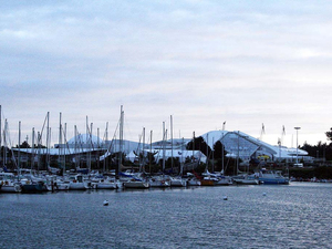 Le parc marin Océanopolis de Brest rouvrira ses portes samedi