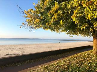 Office du tourisme d'Arcachon : « les...
