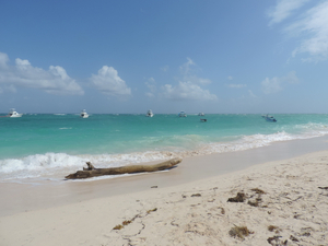 « Quand arrivera la haute saison en République Dominicaine, nous aurons déjà trois mois d'expérience »