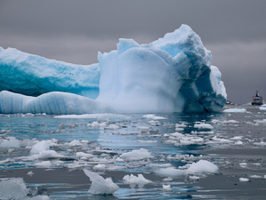 Du microplastique découvert dans l'écosystème terrestre de l'Antarctique