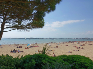 La Rochelle Tourisme « Il y aura du monde cet été ! »
