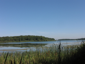 Lac de Madine : les vacanciers invités à concilier vacances et respect de la nature