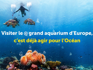 A partir du 25 juillet, Nausicaá propose à ses visiteurs une expérience immersive au cœur des enjeux du changement climatique 