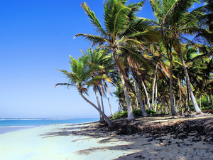 La République Dominicaine inspire les voyageurs grâce à sa nouvelle plateforme virtuelle