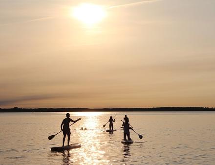 En général, le paddle, appelé aussi "Stand up paddle", est synonyme de liberté, de grands espaces d'évasion, de retour à la nature et de bons moments sportifs mais aussi de détente. Nautisme Article