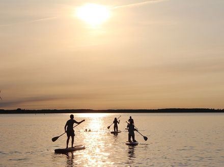 En général, le paddle, appelé aussi "Stand up paddle", est synonyme de liberté, de grands espaces d'évasion, de retour à la nature et de bons moments sportifs mais aussi de détente. Nautisme Article