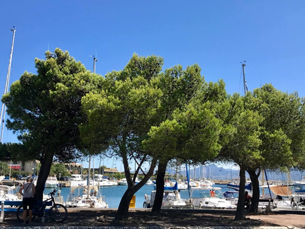  Les institutions nautiques comme la capitainerie de St Cyprien sont obligés de régulièrement rappeler à l'ordre les clients. 