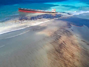 Edito : Ile Maurice ou Liban, la mer en péril