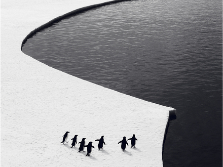 ANTARCTICA2020 , c'est une initiative visant &agrave; &eacute;tablir l'un des plus grands actes de conservation de l'histoire de l'humanit&eacute;