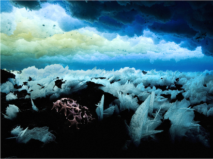 Aujourd'hui nous savons comment résoudre les problèmes écologiques et nous savons que l'un de nos meilleurs outils pour y parvenir est de créer des zones protégées dans l'océan. Aujourd'hui nous savons comment résoudre les problèmes écologiques et nous savons que l'un de nos meilleurs outils pour y parvenir est de créer des zones protégées dans l'océan.