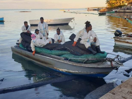 Je voulais absolument aider et mettre mon bateau dans l'eau pour placer des boudins et enrayer la marée noire, mais le gouvernement est clair et menace les habitants non obéissant d'exclusion. Je voulais absolument aider et mettre mon bateau dans l'eau pour placer des boudins et enrayer la marée noire, mais le gouvernement est clair et menace les habitants non obéissant d'exclusion.