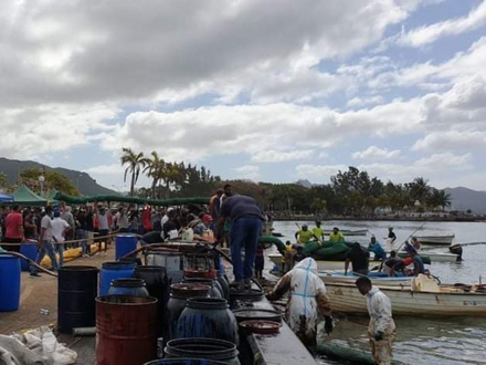 Tous les Mauriciens se sentent concernés par la catastrophe et nous essayons tous d'avoir un impact. Tous les Mauriciens se sentent concernés par la catastrophe et nous essayons tous d'avoir un impact.