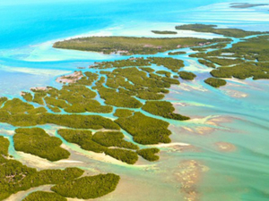 Dream Yacht Charter ouvre une nouvelle base à Miami 