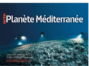 Ce soir à la TV : le documentaire de Laurent Ballesta sur l'expédition Gombessa V