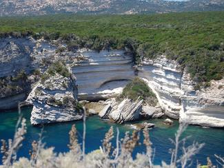 Plongée dans la réserve naturelle des Bouches...