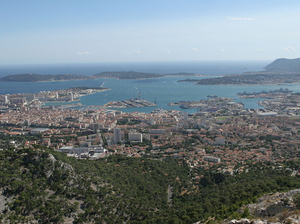 Récifs artificiels : étude de grande ampleur à Toulon pour mesurer leur impact réel